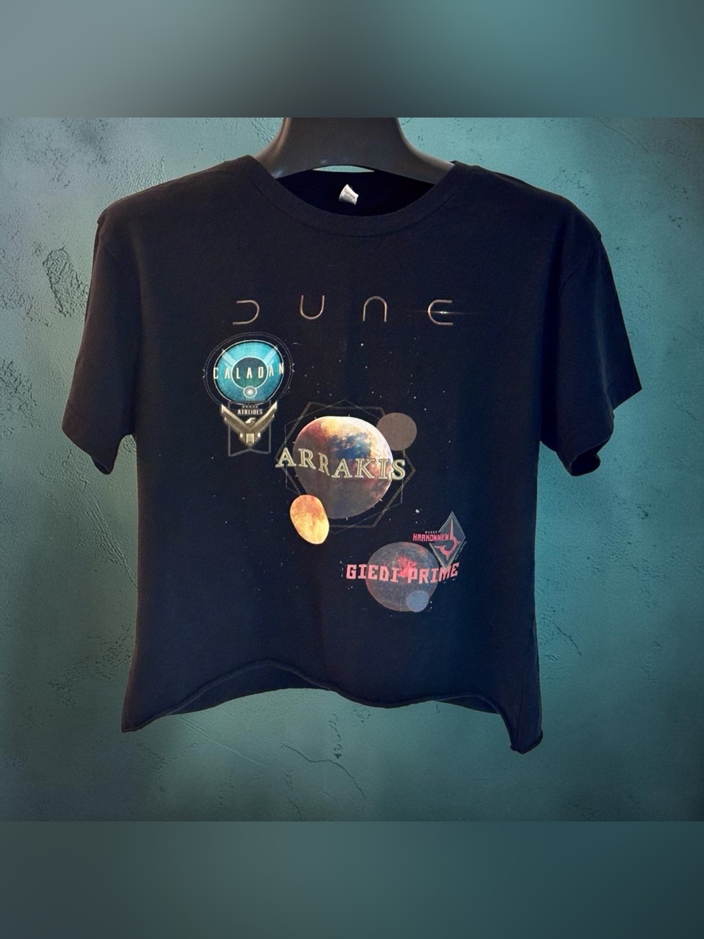 HOT TOPIC - “Dune Primary Planet” DIY Cropped Tee - XL